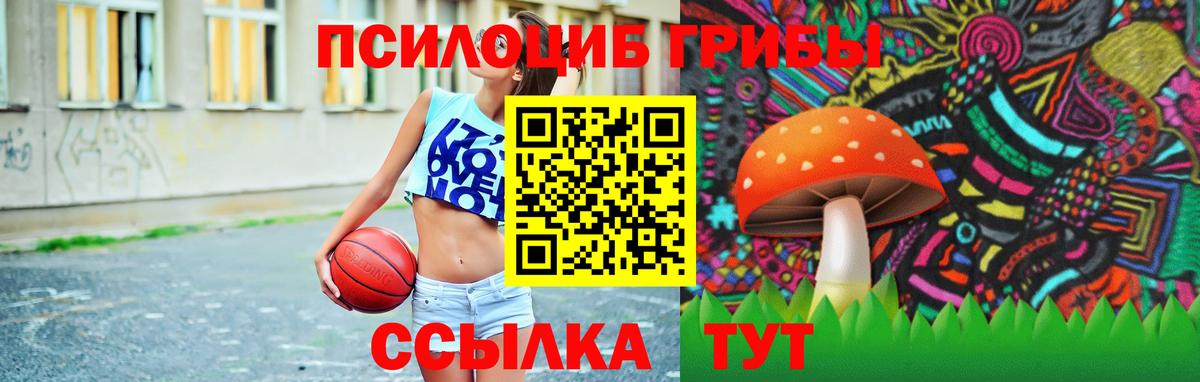 Псилоцибиновые грибы Psilocybe Арзамас